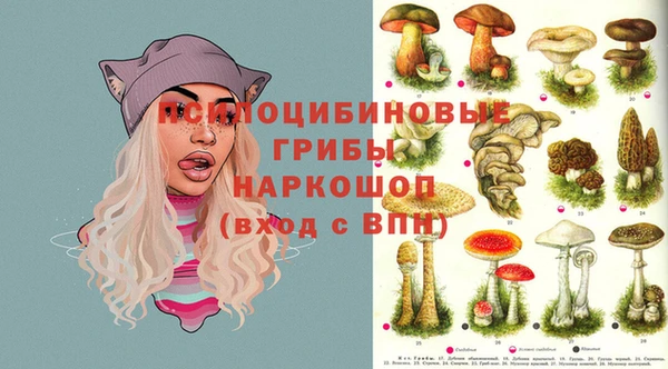 эйфоретик Балахна