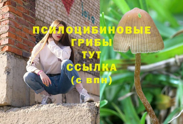 эйфоретик Балахна
