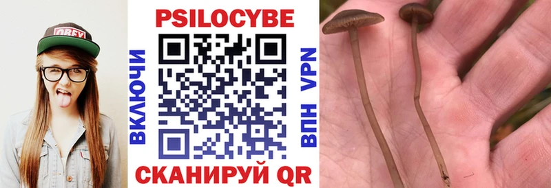Псилоцибиновые грибы Psilocybine cubensis  Купить где  Лакинск 
